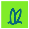 icon5-v